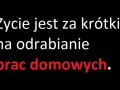 życie jest za krótkie