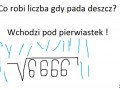 Suchar dnia