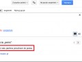 Penis