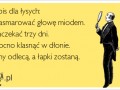 Przepis dla lysych
