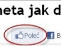 Poleć razem z fb
