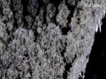 Piękno reakcji chemicznych