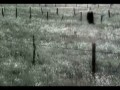 Anna Maria Jopek - Dont Speak