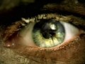 Slayer - Eyes Of The Insane