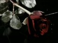 Masterplan - Lost And Gone