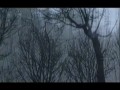 Le Roi Soleil - Mon Essentiel