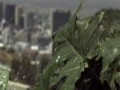 Simply Red - So Not Over You