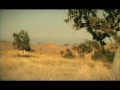 Stacie Orrico - So Simple