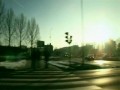 Drzewo - Polska