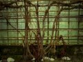 Porcupine Tree - Fear Of A Blank Planet