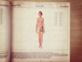 17th Brussels Short Film Festival - Supervenus