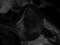 BANKS - Brain (Official Video)