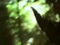 Dead Meadow - What Needs Must Be