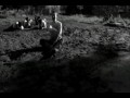 Afro Kolektyw - Przepraszam