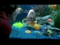 The Chemical Brothers - The Salmon Dance
