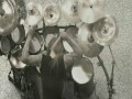 Behemoth - Ov Fire And The Void