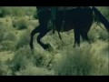 Muse - Knights Of Cydonia