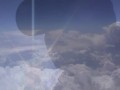 Qltura - Fly