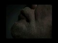 Voo Voo - Zbiera mi się