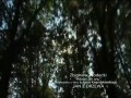 Zbigniew Wodecki - Miłości jak snu