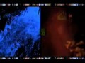 Ainu - Voice Of Forest