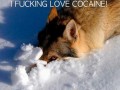 Cocaine