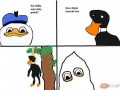 Dolan