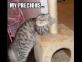 My precious