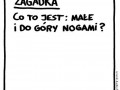 Zagadka