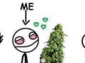 Weed