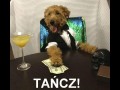 Tańcz