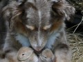 So cute