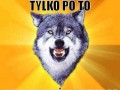 Motywator
