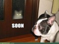 Soon