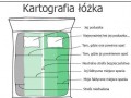 Lozko