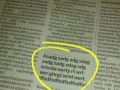 Dziennikarstwo