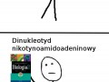 Macarena