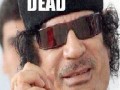 Dead dead dead