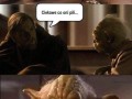Party hard with yoda