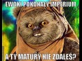 A ty matury nie zdales
