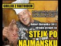 Stek