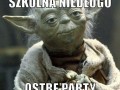 Party