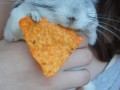 Oooh so sweet