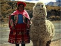 People and animals