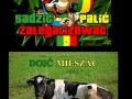 Sadzic palic