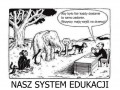 Nasz system edukacji