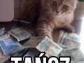 Tańcz