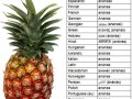 Ananas w wielu językach