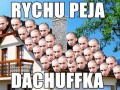Rychu peja dachuffka
