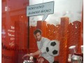 Junior brand manager